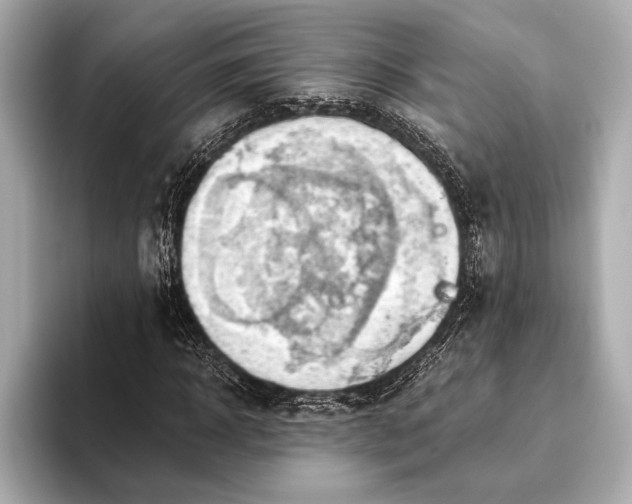 X0000093410918200710260934