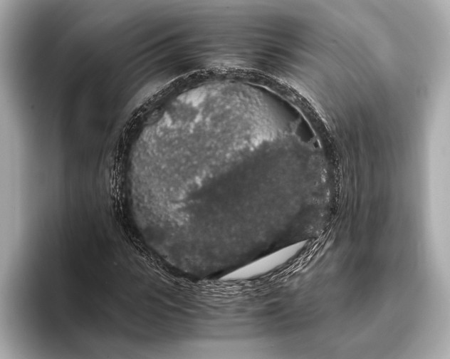 X0000093410919200710260934