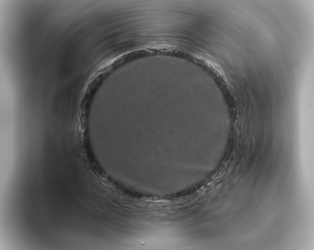 X0000093410920200710260934