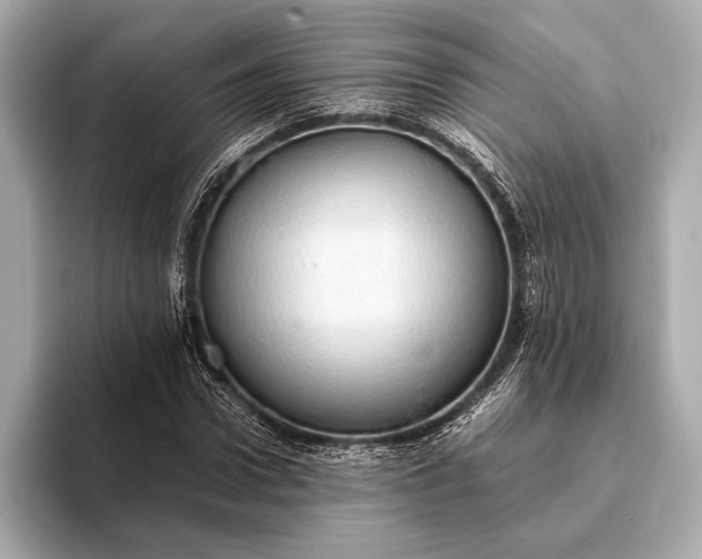 X0000093410922200710260934