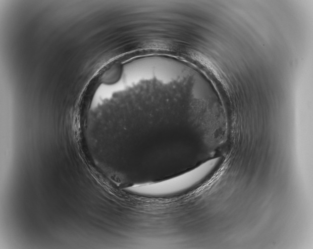 X0000093410923200710260934