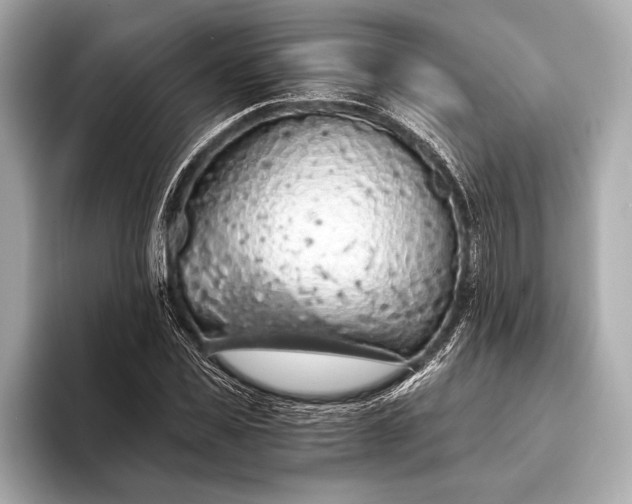 X0000093410925200710260934