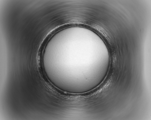 X0000093410926200710260935