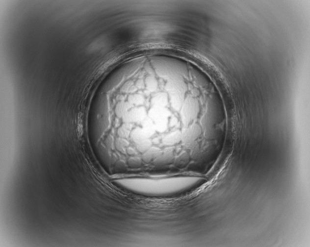 X0000093410929200710260935