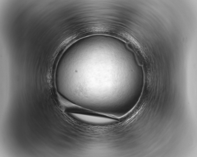 X0000093410930200710260935