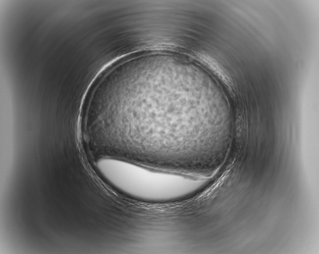 X0000093410932200710260935