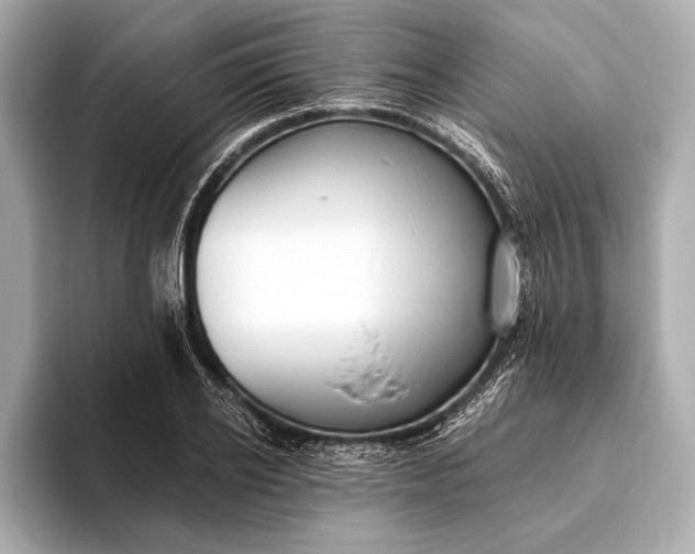 X0000093410934200710260935