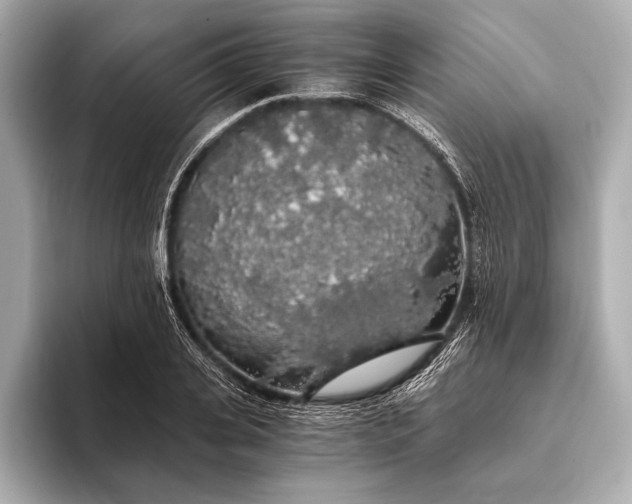 X0000093410935200710260935