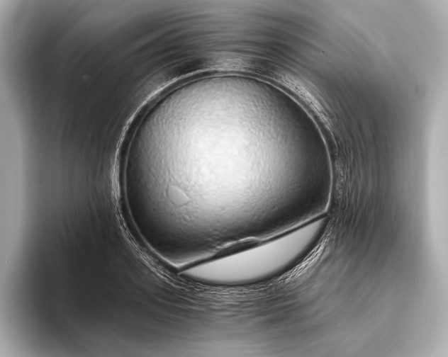 X0000093410939200710260935