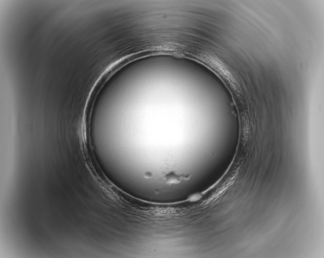 X0000093410940200710260935