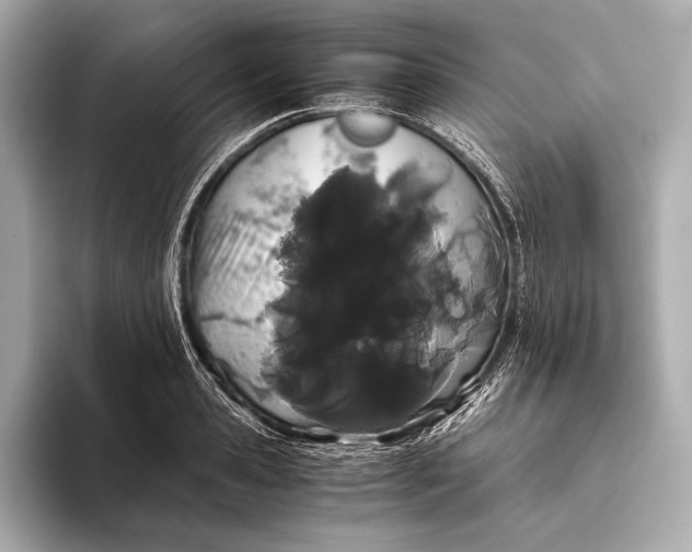 X0000093410941200710260935