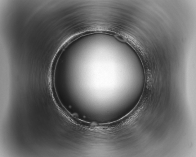 X0000093410942200710260935