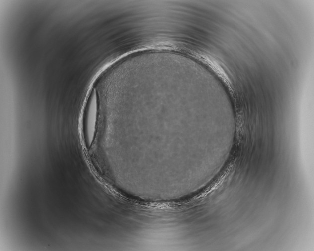 X0000093410944200710260935