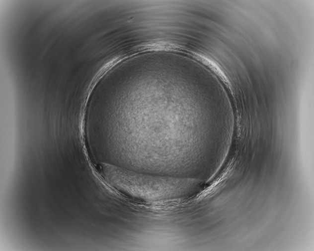 X0000093410946200710260935