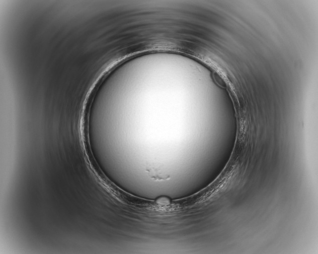 X0000093410947200710260935