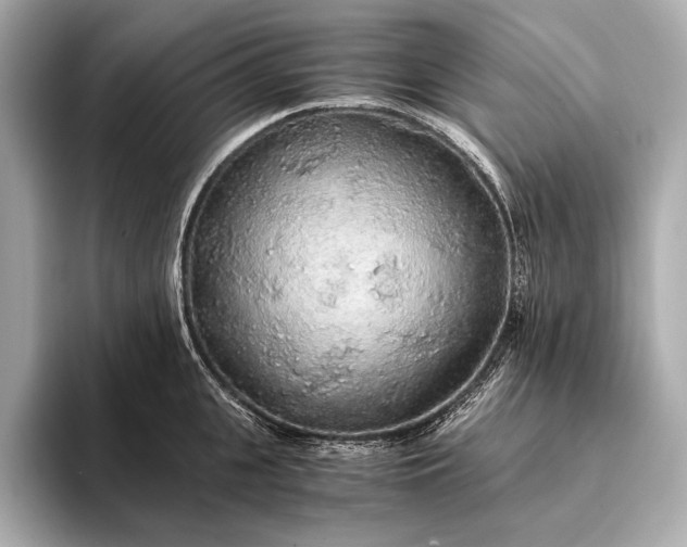 X0000093410951200710260935