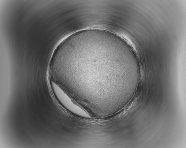 X0000093410952200710260935