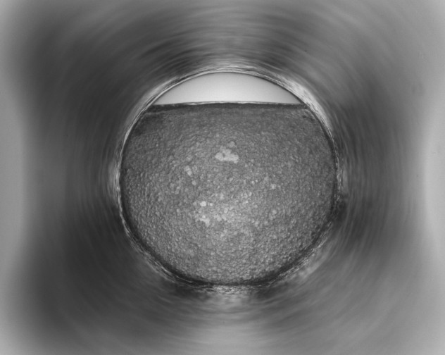 X0000093410954200710260935