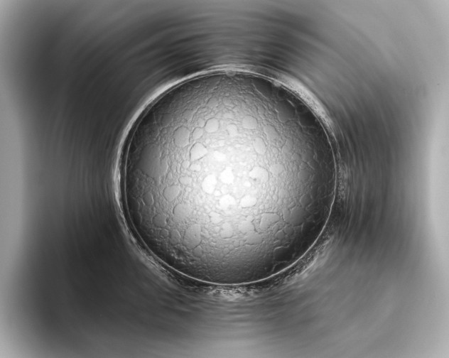 X0000093410955200710260935