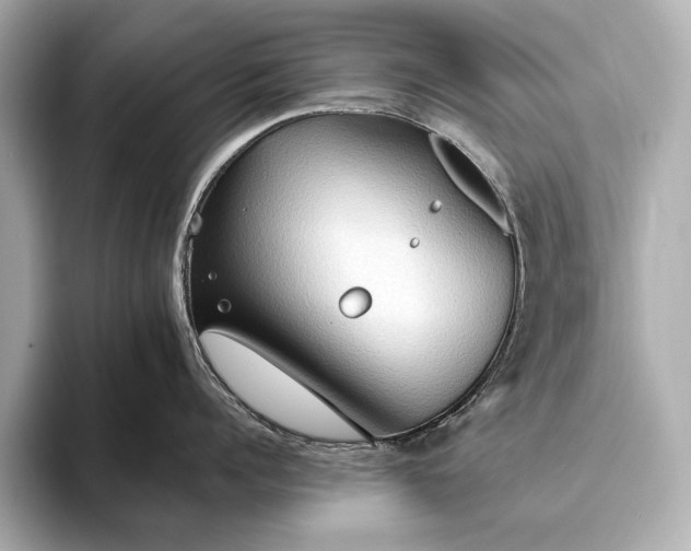 X0000093410960200710260935