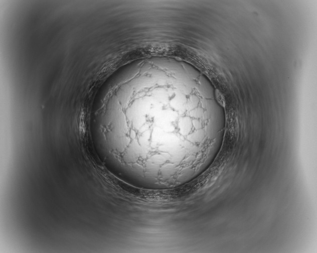 X0000093410962200710260934