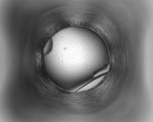 X0000093410964200710260934