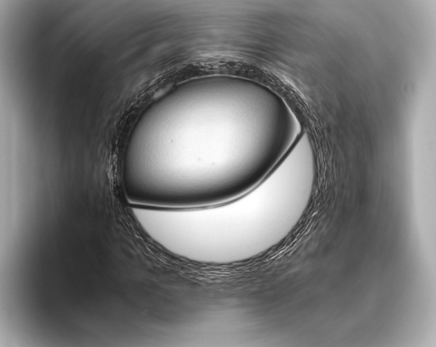 X0000093410965200710260934