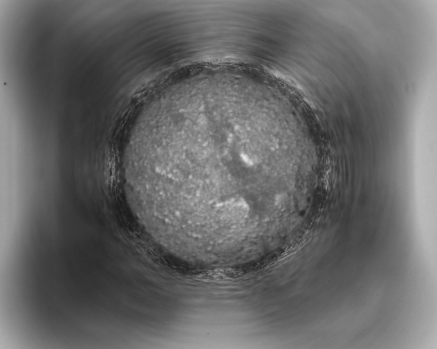 X0000093410966200710260934