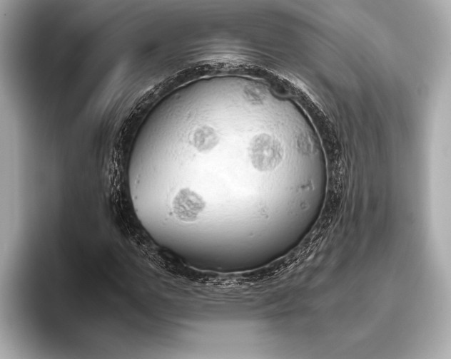 X0000093410967200710260934