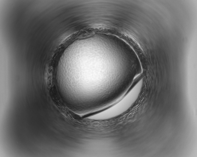 X0000093410968200710260934