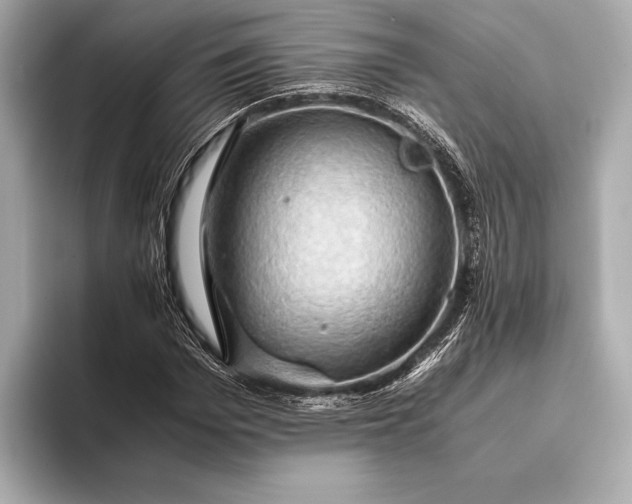 X0000093410969200710260934