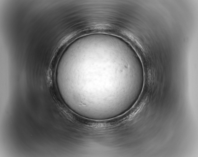 X0000093410970200710260934