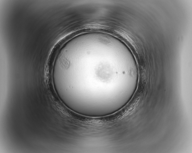 X0000093410971200710260934