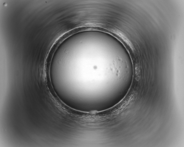 X0000093410972200710260934