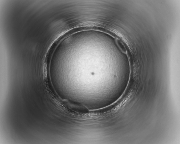 X0000093410973200710260934