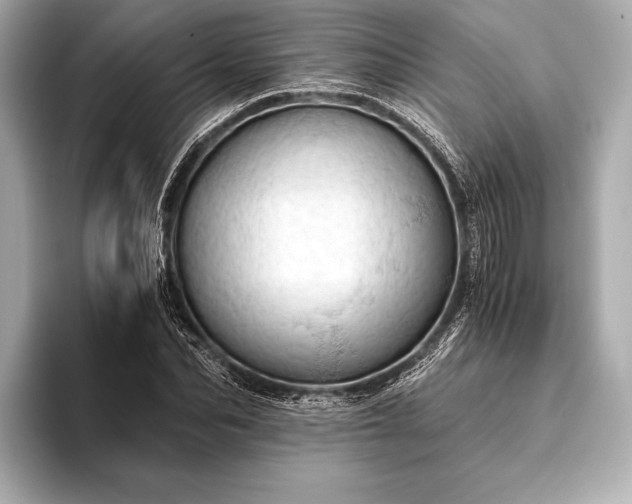 X0000093410974200710260934