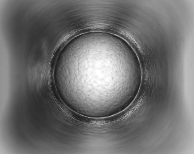 X0000093410978200710260934