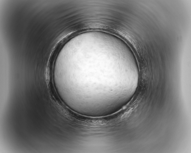 X0000093410979200710260934