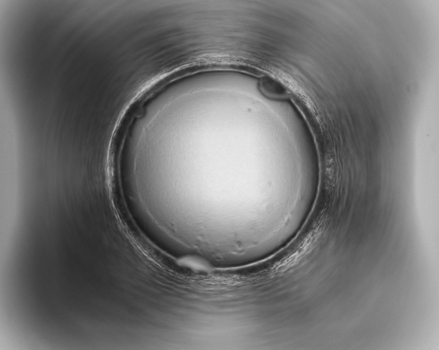 X0000093410981200710260934