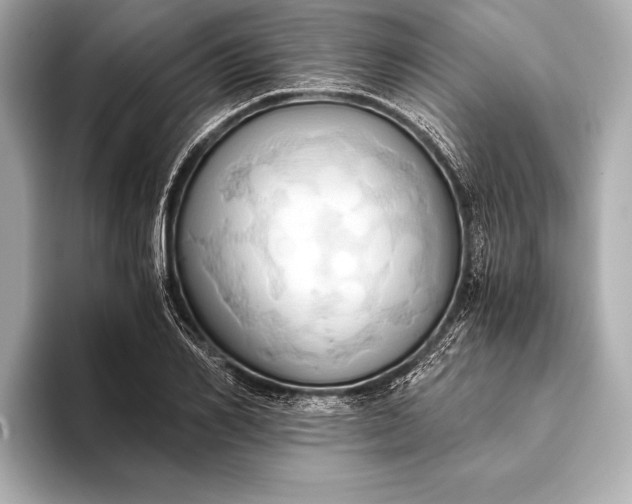 X0000093410982200710260934