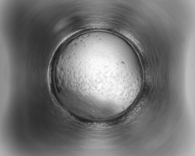 X0000093410983200710260934