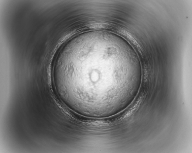 X0000093410986200710260934