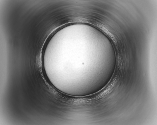 X0000093410988200710260934