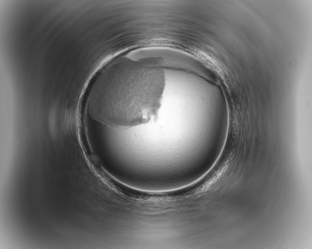 X0000093410989200710260934