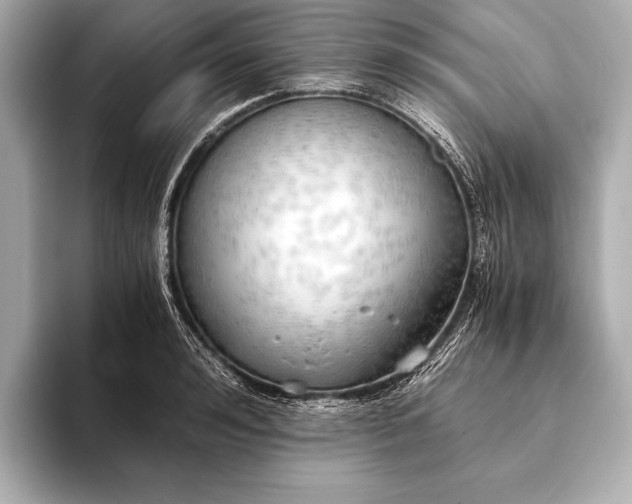 X0000093410992200710260934