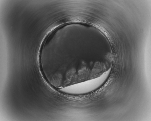 X0000093410995200710260934