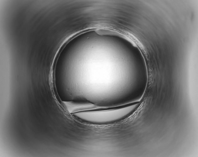 X0000093410996200710260934