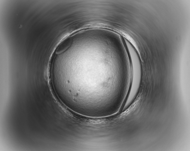 X0000093410997200710260934