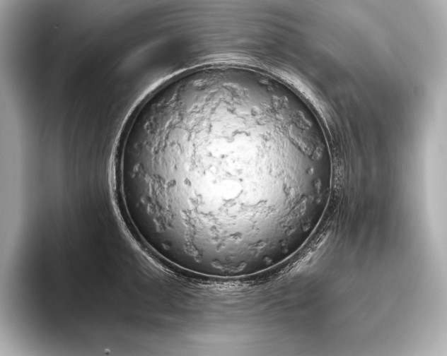 X0000093410999200710260934