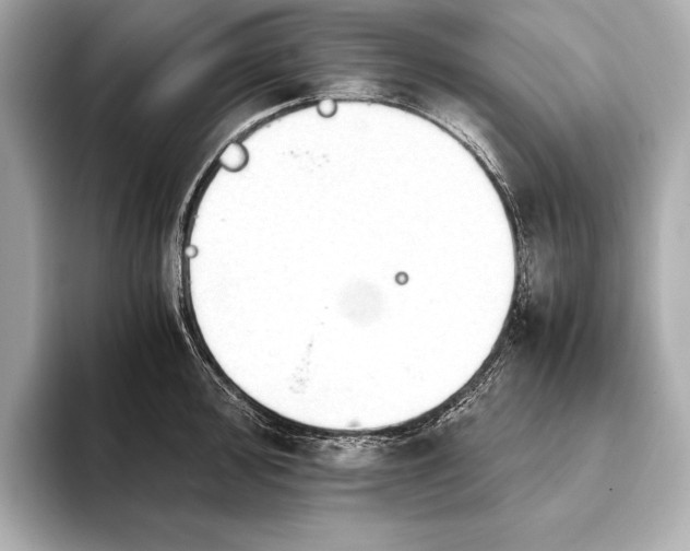 X0000093411000200710260934